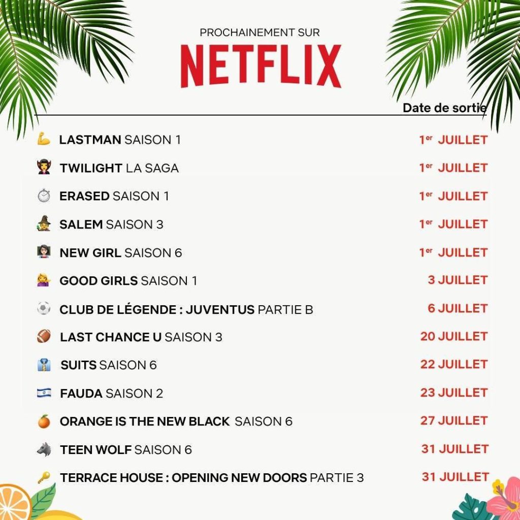 programme netflix